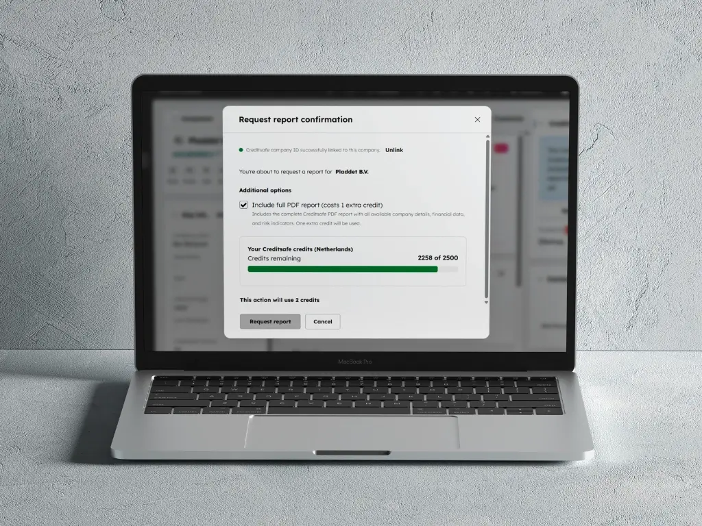 Creditsafe app - download report